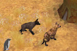 Spotted Hyena