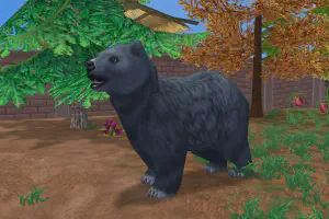 Tibetan Blue Bear
