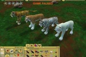 Tigers