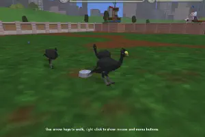 Yellow-Knobbed Curassow