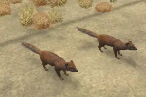 Yellow Mongoose II