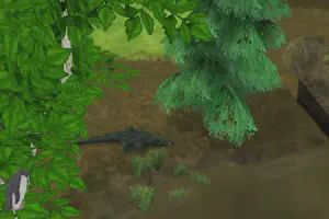 American Alligator Pack