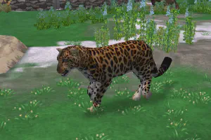 Amur Leopard Mini Pack