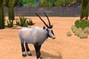 Arabia Pack