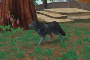 Eurasian Wolf Mini Pack