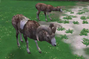 European Expeditions [Realistic]