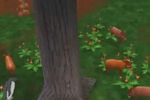 Red River Hog Pack