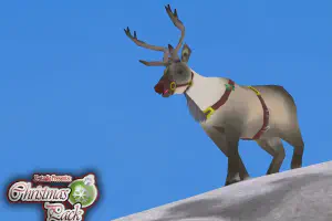 The Christmas Pack