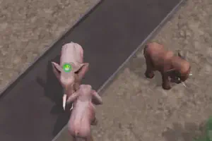 Pink Elephant Disorder Fix