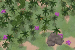 Tropical Coast Template Map
