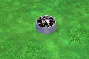 Insect Dish