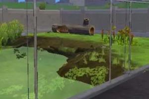 Glass Fence