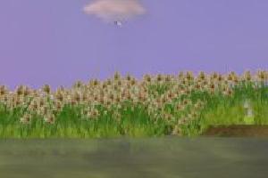 Common Reed