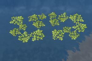 Duckweed, Round