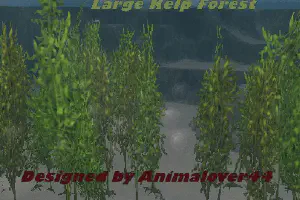 Large Kelp Forest