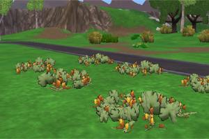 Pumpkin Patch