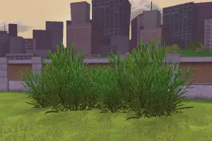 Spike Grass