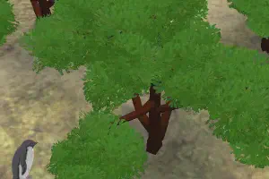 Tamarind Tree