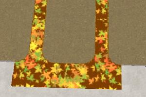Fall Leaves Path