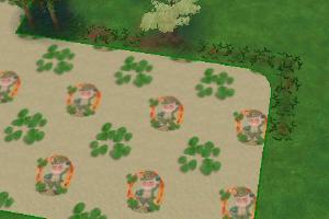 YR St Patty's Day Path