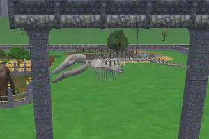 Hanging Whale Skeleton