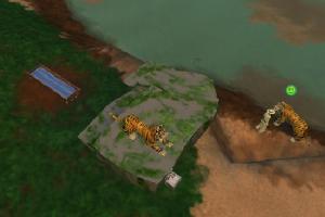 Jungle Ruins Cat Climber