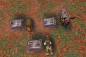 Boreal Forest Info. Pack