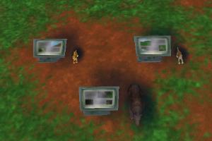 Rainforest Info. Boards Part. 2