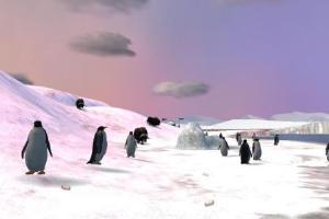 Arctic Wildlife Preserve Save File