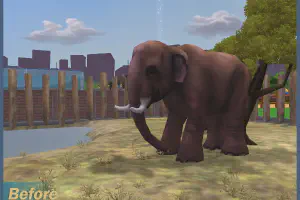 Asian Elephant Reskin
