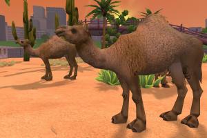 Dromedary Camel Reskin