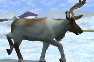 Caribou Reskin and Variants