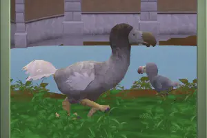 Dodo Reskin