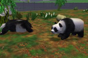 Giant Panda Reskin