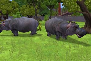 Hippo Reskin