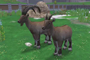 Ibex Reskin