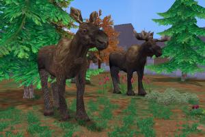 Moose Reskin