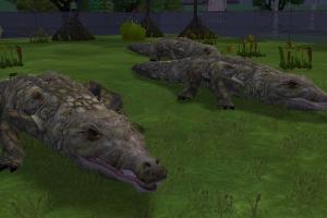 Nile Crocodile Reskin