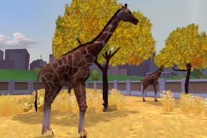 Reticulated Giraffe Reskin