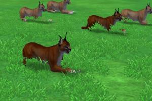 African Adventure Variant Pack P1