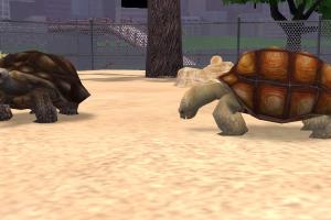 African Adventure Variant Pack P2