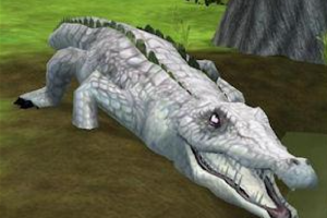 Albino Animal Variant Pack