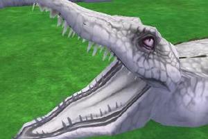Albino Crocodile Skin