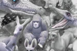 Albino Pack Part 1