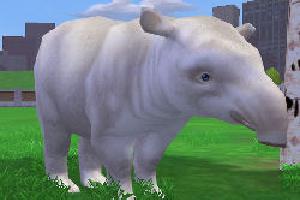 Albino Tapir Variant