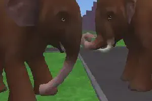 Asian Elephant Variant