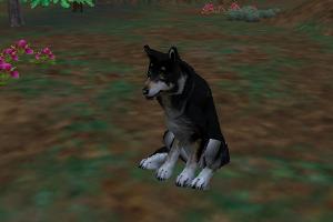 Black Wolf Variant II