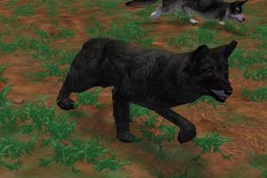 Black Wolf Variant