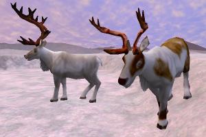 Caribou Variant Skin Pack