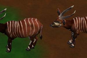 Dark Bongo Variant